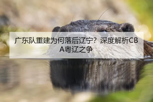 广东队重建为何落后辽宁？深度解析CBA粤辽之争