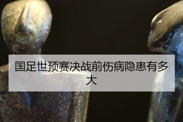 国足世预赛决战前伤病隐患有多大